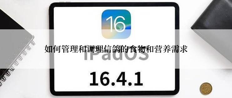 如何管理和调理信鸽的食物和营养需求