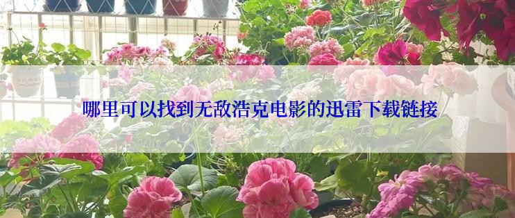 哪里可以找到无敌浩克电影的迅雷下载链接