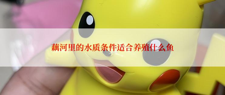 藕河里的水质条件适合养殖什么鱼