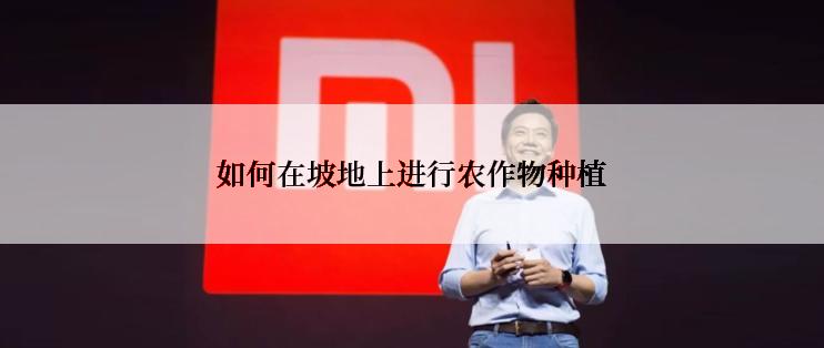 如何在坡地上进行农作物种植