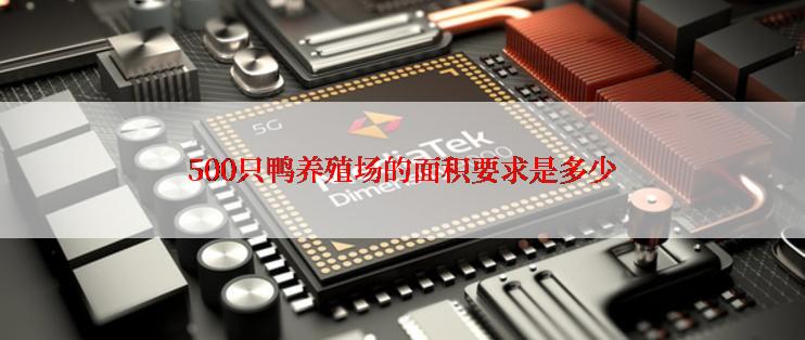 500只鸭养殖场的面积要求是多少
