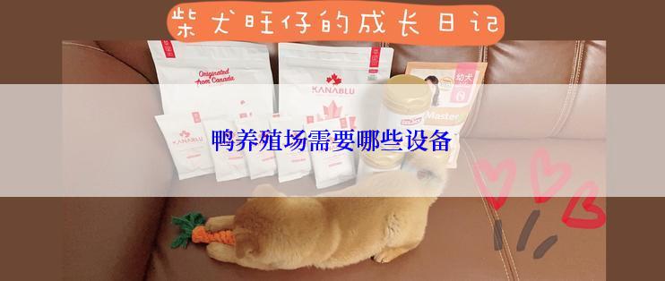 鸭养殖场需要哪些设备