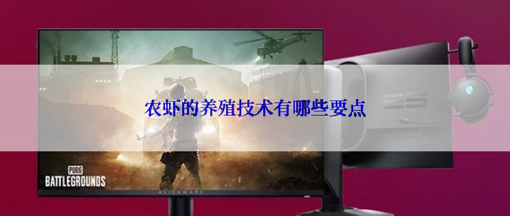 农虾的养殖技术有哪些要点