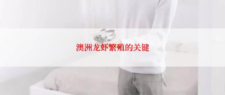 澳洲龙虾繁殖的关键