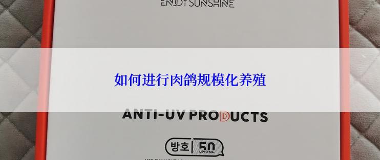 如何进行肉鸽规模化养殖