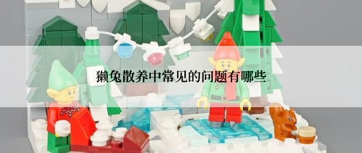 獭兔散养中常见的问题有哪些