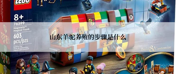 山东羊驼养殖的步骤是什么