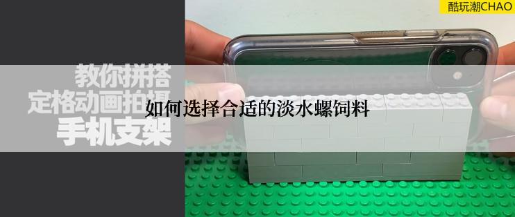 如何选择合适的淡水螺饲料