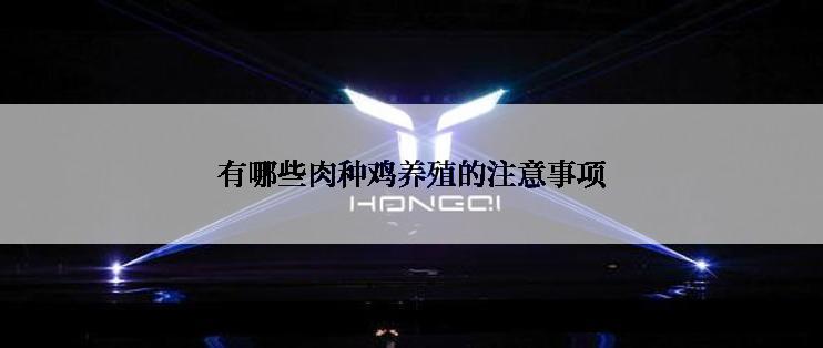 有哪些肉种鸡养殖的注意事项