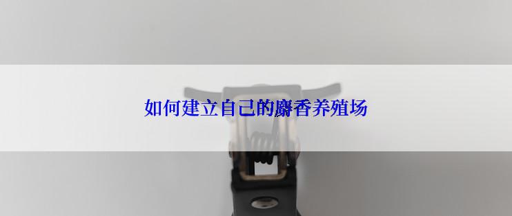 如何建立自己的麝香养殖场