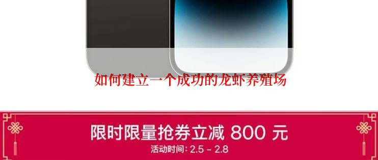 如何建立一个成功的龙虾养殖场