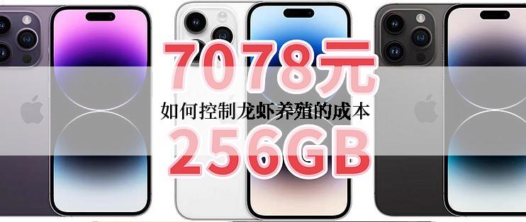  如何控制龙虾养殖的成本