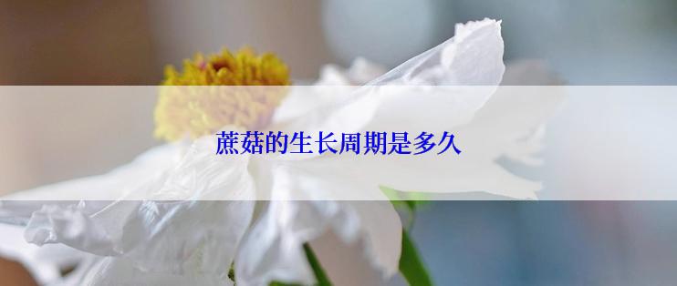 蔗菇的生长周期是多久