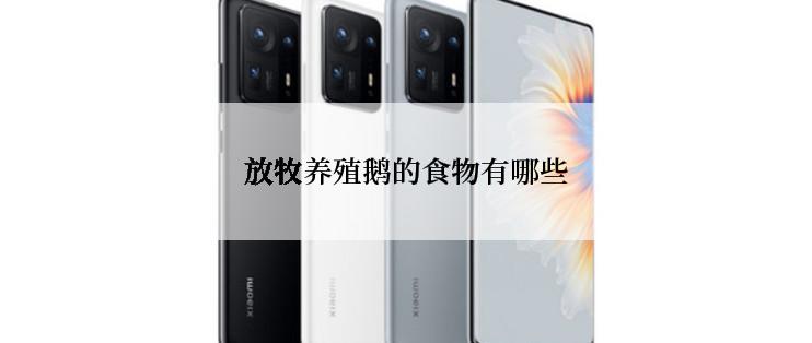 放牧养殖鹅的食物有哪些