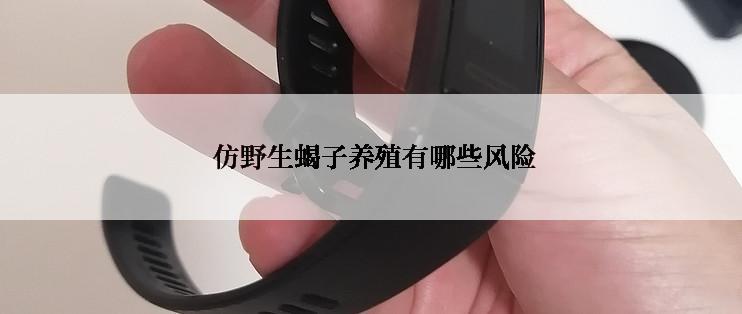  仿野生蝎子养殖有哪些风险