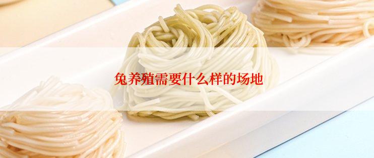 兔养殖需要什么样的场地