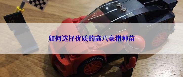 如何选择优质的高八豪猪种苗