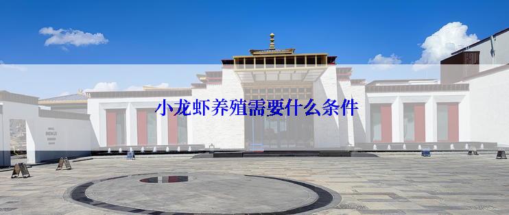  小龙虾养殖需要什么条件