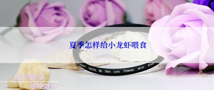  夏季怎样给小龙虾喂食