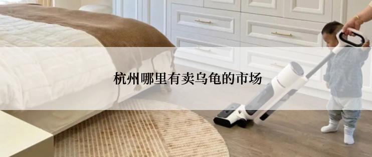  杭州哪里有卖乌龟的市场