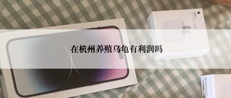  在杭州养殖乌龟有利润吗