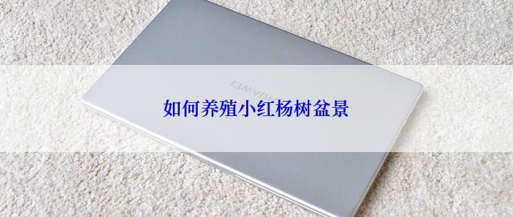 如何养殖小红杨树盆景