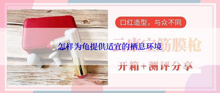 怎样为龟提供适宜的栖息环境