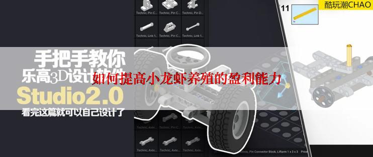 如何提高小龙虾养殖的盈利能力