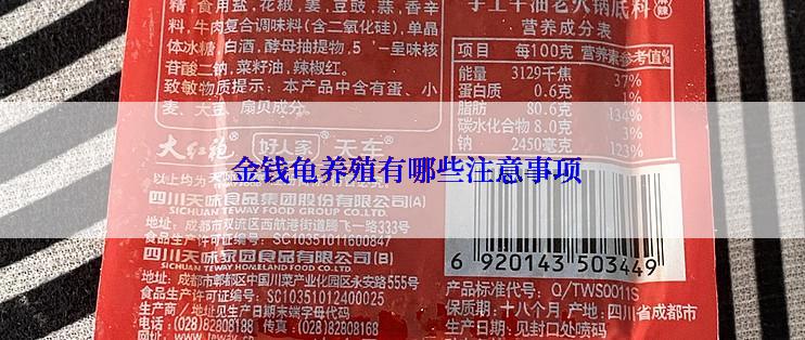  金钱龟养殖有哪些注意事项