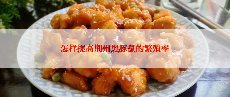 怎样提高荆州黑豚鼠的繁殖率