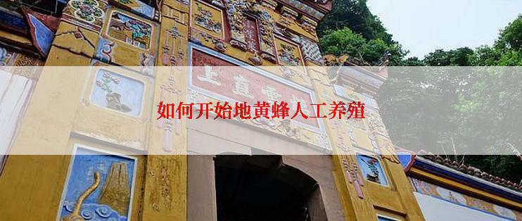如何开始地黄蜂人工养殖