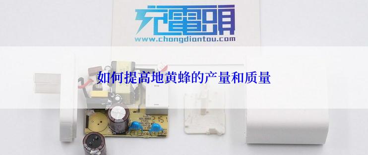 如何提高地黄蜂的产量和质量