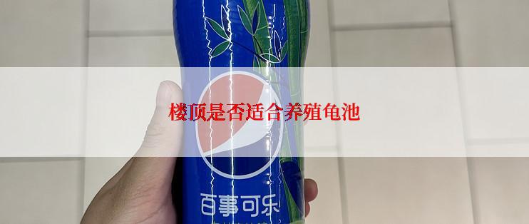 楼顶是否适合养殖龟池
