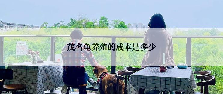 茂名龟养殖的成本是多少