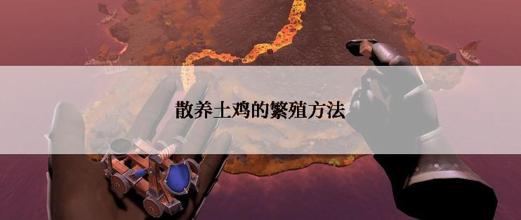 散养土鸡的繁殖方法