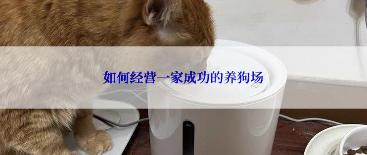 如何经营一家成功的养狗场