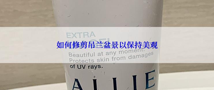 如何修剪吊兰盆景以保持美观