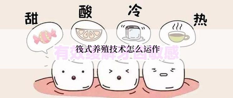  筏式养殖技术怎么运作