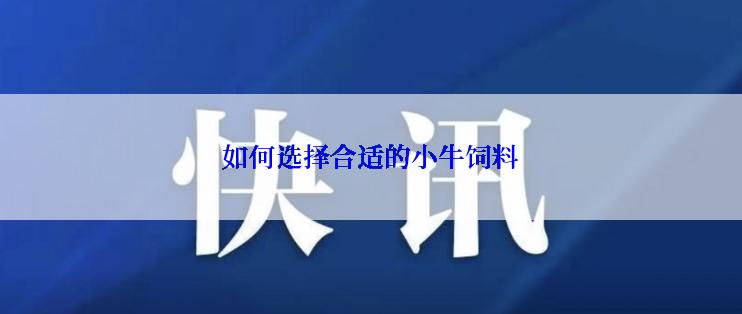 如何选择合适的小牛饲料