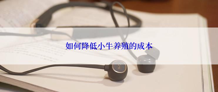 如何降低小牛养殖的成本