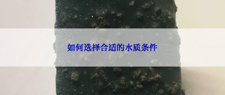 如何选择合适的水质条件