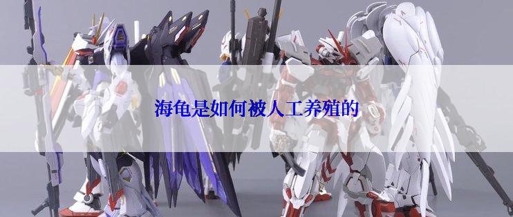 海龟是如何被人工养殖的