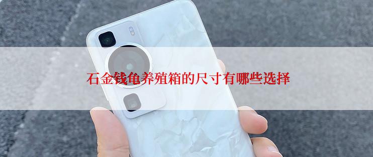  石金钱龟养殖箱的尺寸有哪些选择