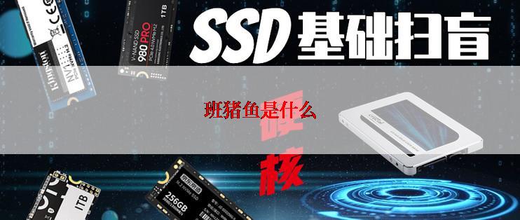 班猪鱼是什么