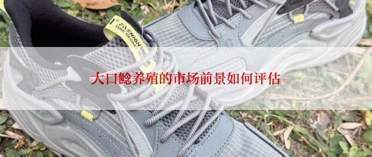 大口鲶养殖的市场前景如何评估
