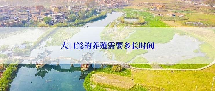 大口鲶的养殖需要多长时间