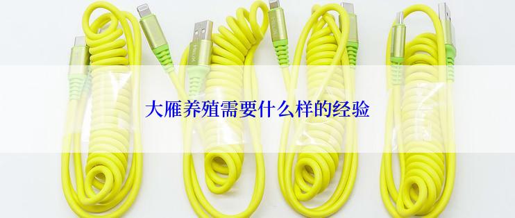 大雁养殖需要什么样的经验