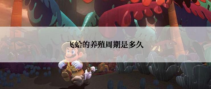 飞蛤的养殖周期是多久