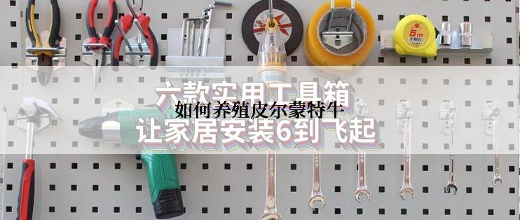 如何养殖皮尔蒙特牛