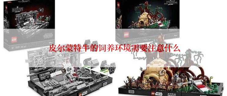  皮尔蒙特牛的饲养环境需要注意什么